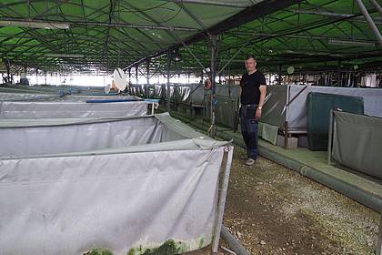 Patrick François steht in seiner Froschfarm in Südfrankreich. Der Franzose beliefert ein Dutzend Kunden der feinen Küche mit Froschschenkeln.